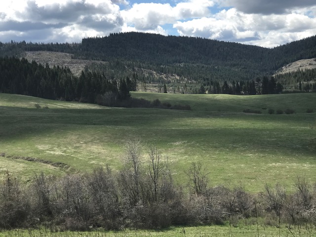 160 acres of North Idaho Land!